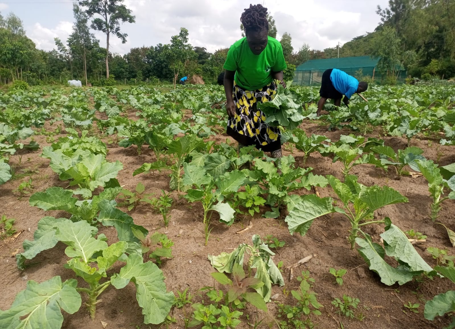 Food Security